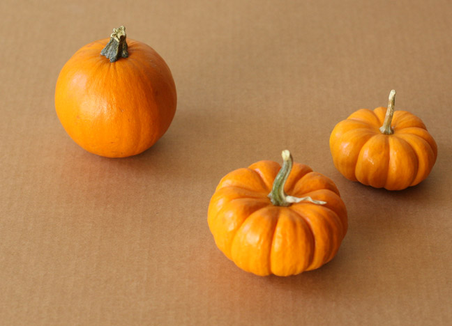 DIY: Painted Pumpkins