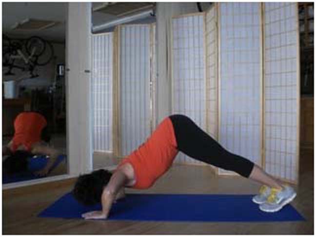 DOWNWARD DOG PUSH UP