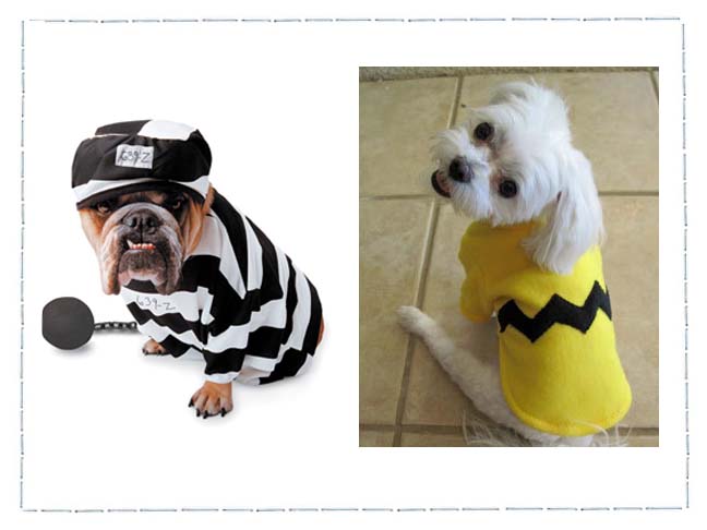 Dog Costumes For A Howling Halloween