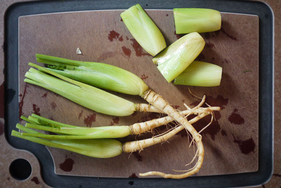 Fennel Spring Salads Light Healthy Dinner