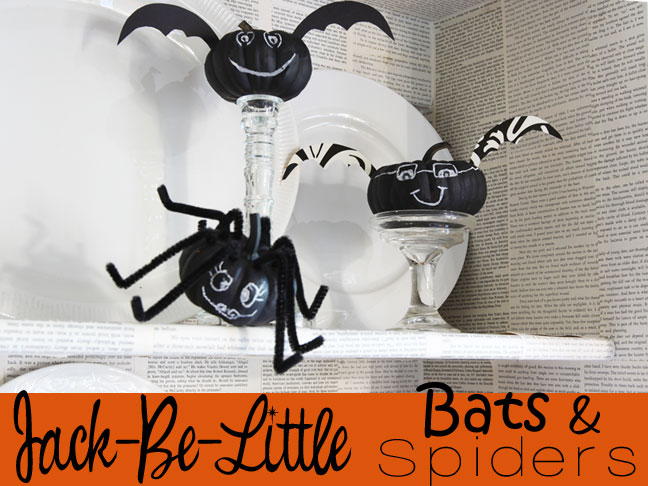 Jack-Be-Little Spider and Bat Craft DIY