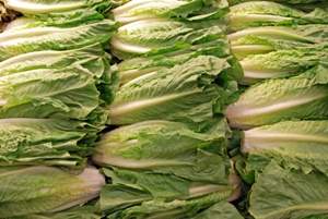 Romaine Lettuce for Skin Health