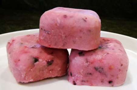 Yogurt and Berry Bites Baby Food