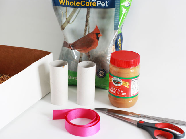 Bird Feeder Craft for Kids - Supplies