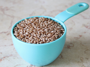 Wheat Berry Salad Recipe - Step 2