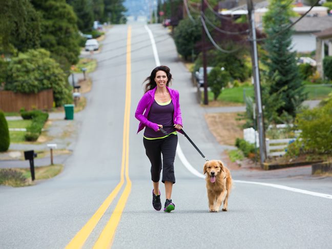 Pets and Fitness