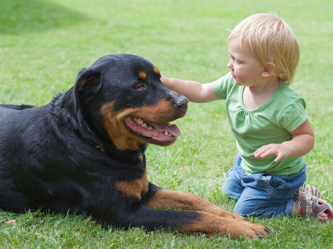 Kids and Pets