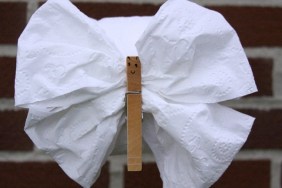 Origami Toilet Papar Butterfly