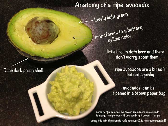 Avocado for Baby