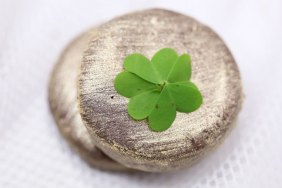 Peppermint Patty Gold Coins