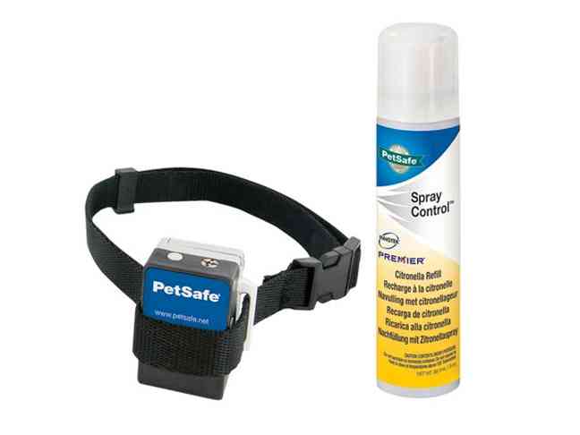 092713-PetSafeCollar