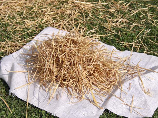 making the scarecrow head