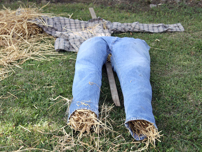 stuffing the homemade scarecrow