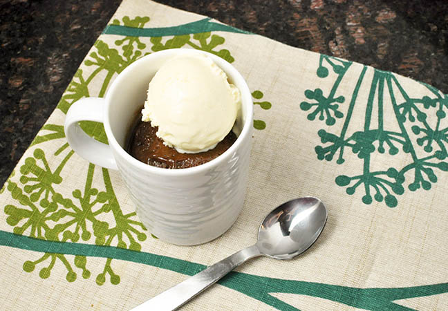 chocolate mug cake ice cream