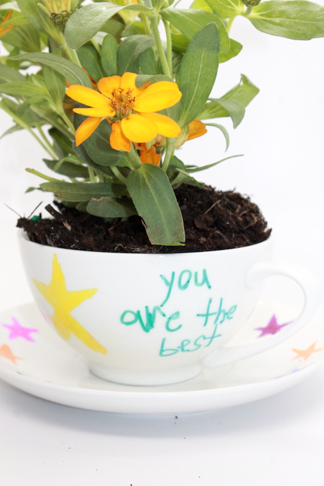 Design Your Own DIY Motherâs Day Teacup Garden