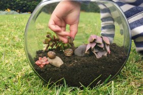 DIY-snail-terrarium.5