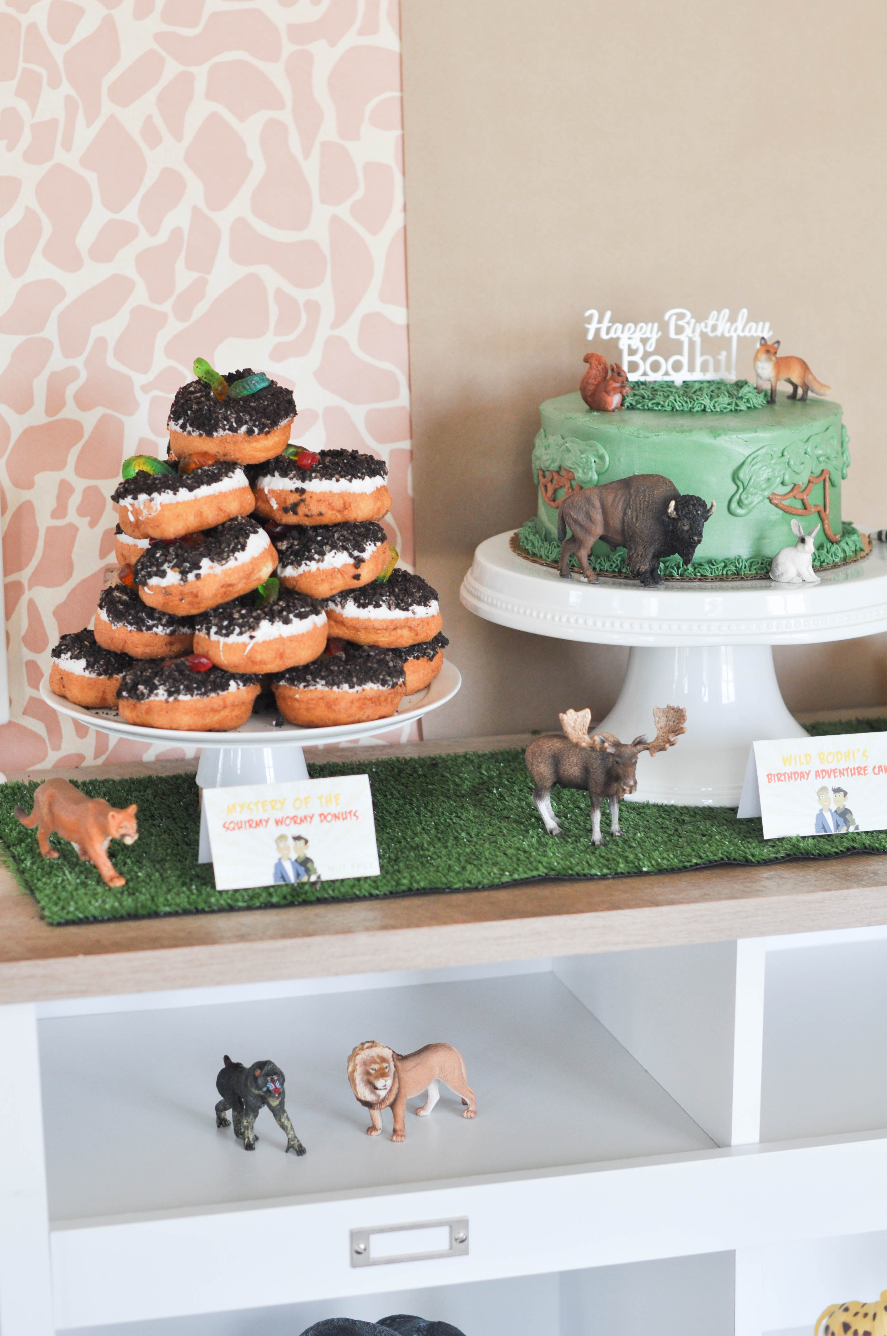 A Wild Kratts fourth birthday celebration plus a budget friendly backdrop