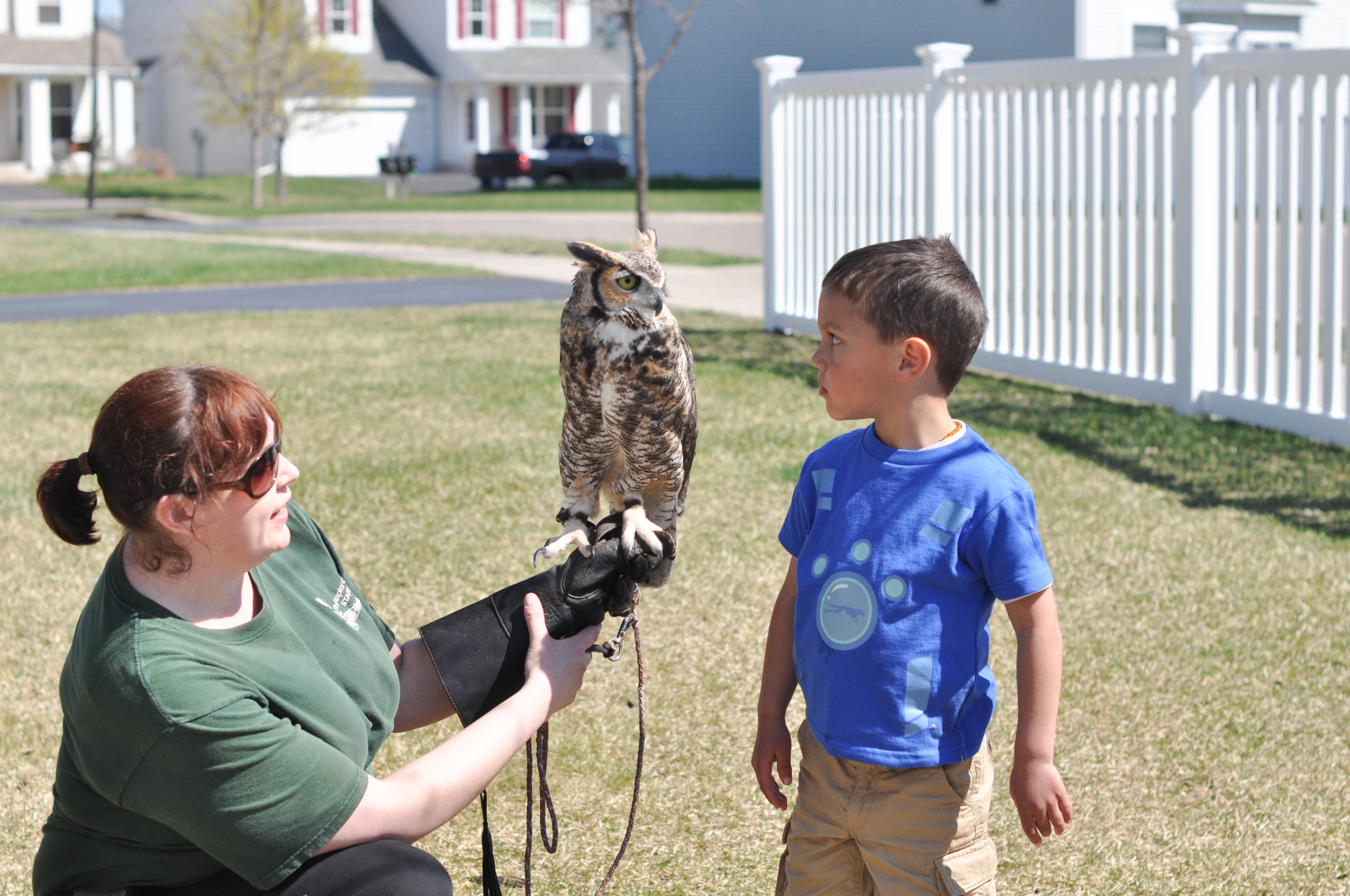 A Wild Kratts fourth birthday celebration plus a budget friendly backdrop