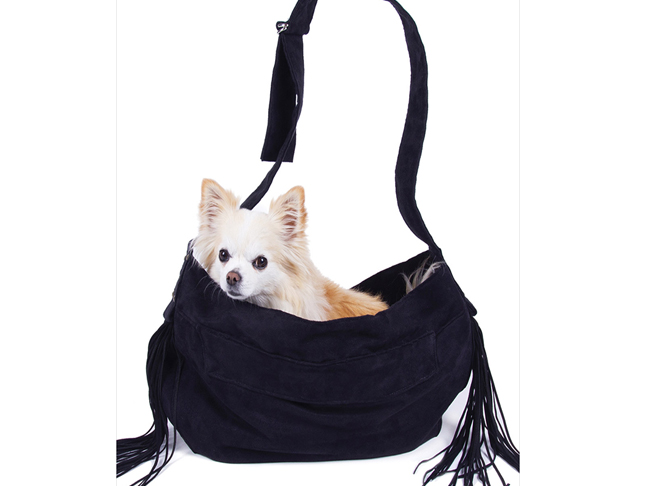 best_pet_dog_carrier3