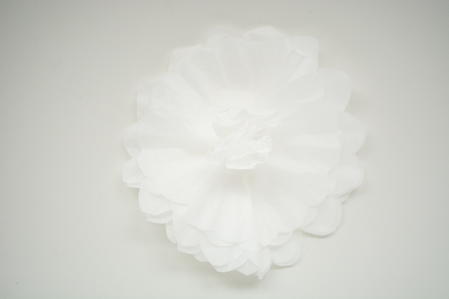 coffee filter peony