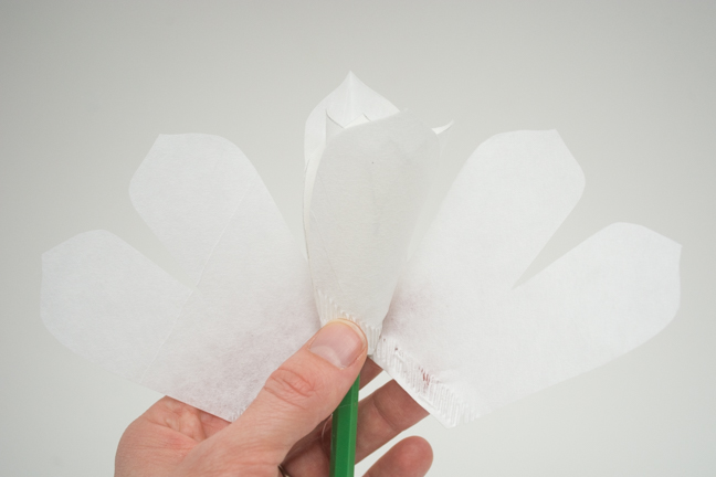 coffee filter flowers