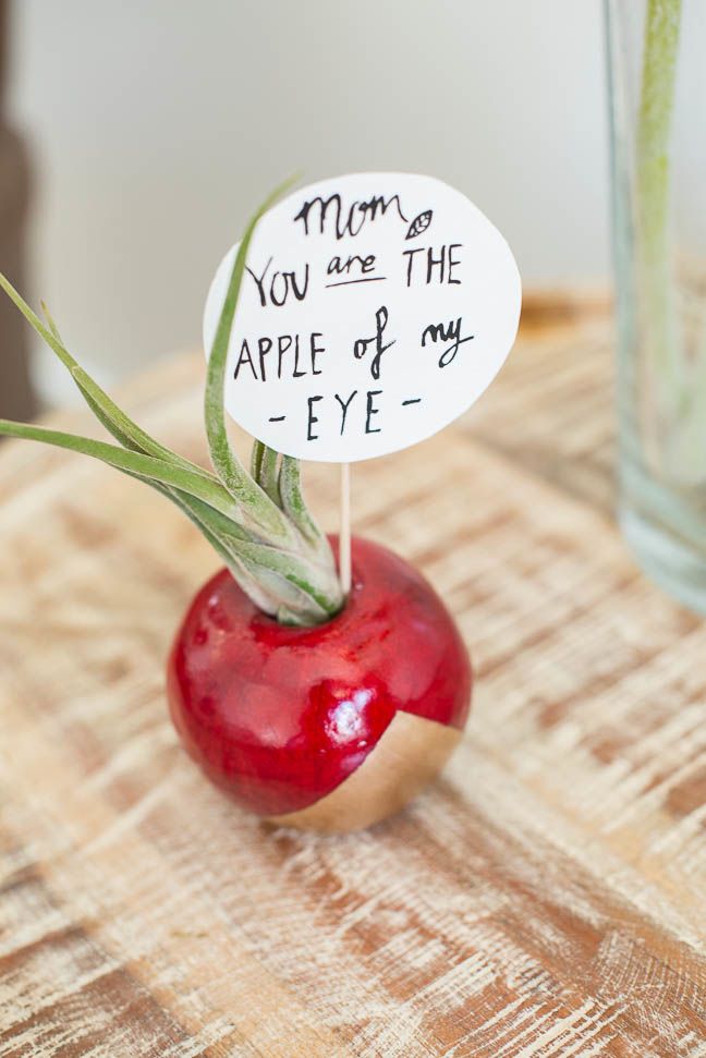 apple-air-plant-mothers-day-diy-gift-planter-gold-red