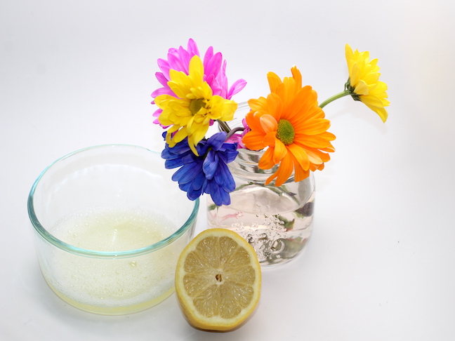 lemon egg whites vase of flowers