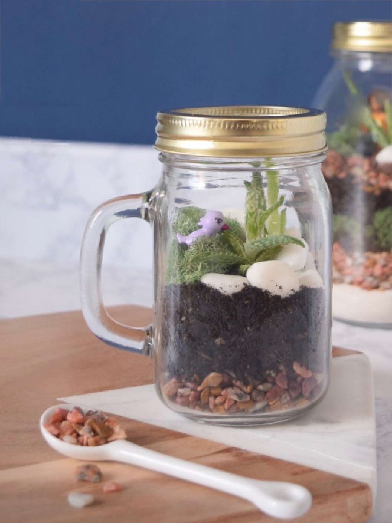 DIY Kid-Friendly Mason Jar Terrariums