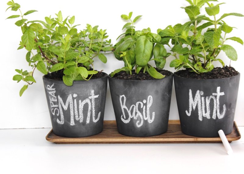 These DIY Chalkboard Planters Make It So Easy To Label Plants