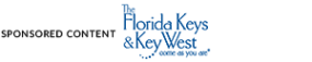 Sponsor logo