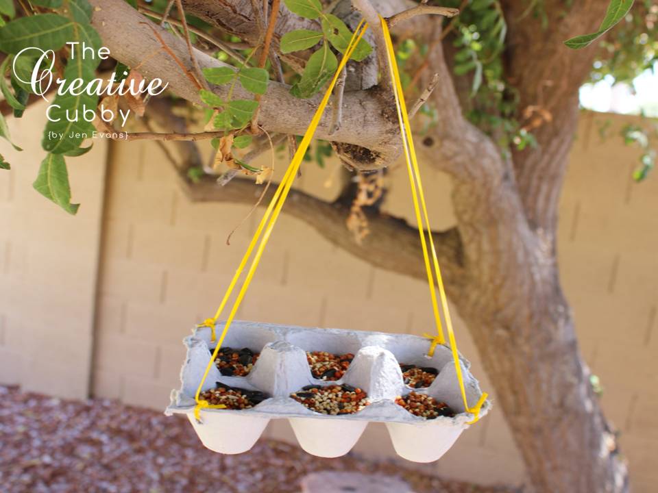 DIY bird feeder