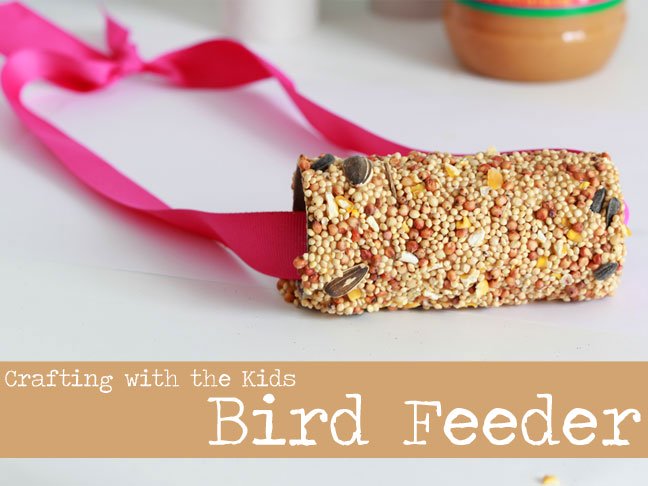 DIY bird feeder