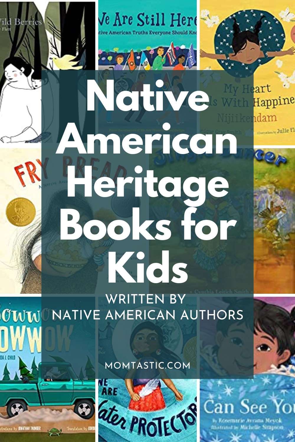 natvie american heritage books