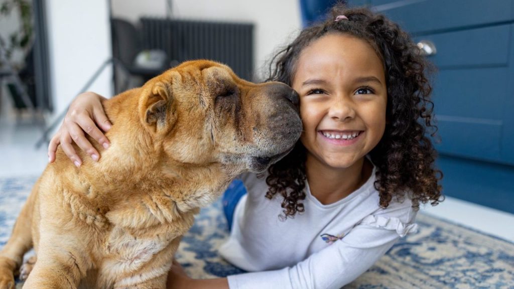 dog giving young girl a kiss benefits of dog ownership for kids