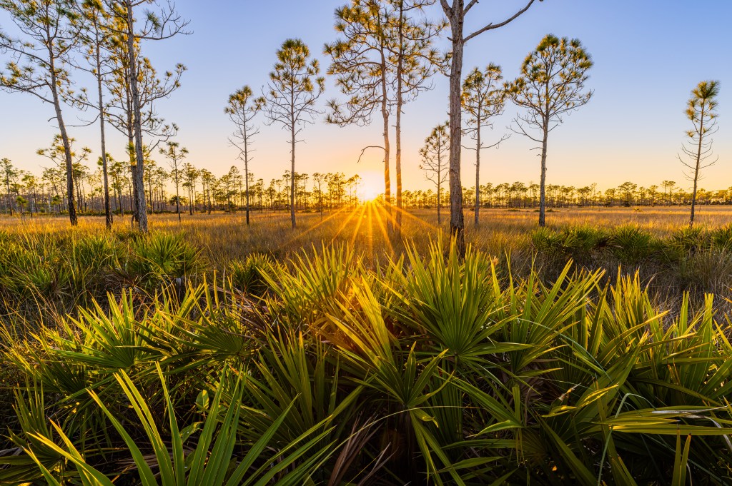 national parks in Florida