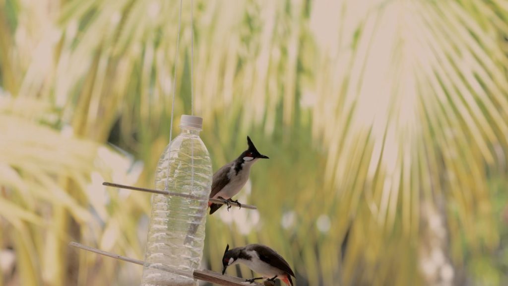 DIY with plastic bottles