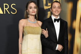 Angelina Jolie son Knox LA fire kids