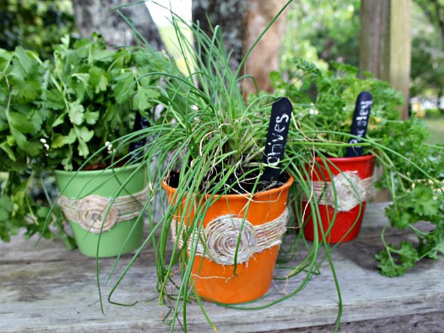 DIY Herb Pots