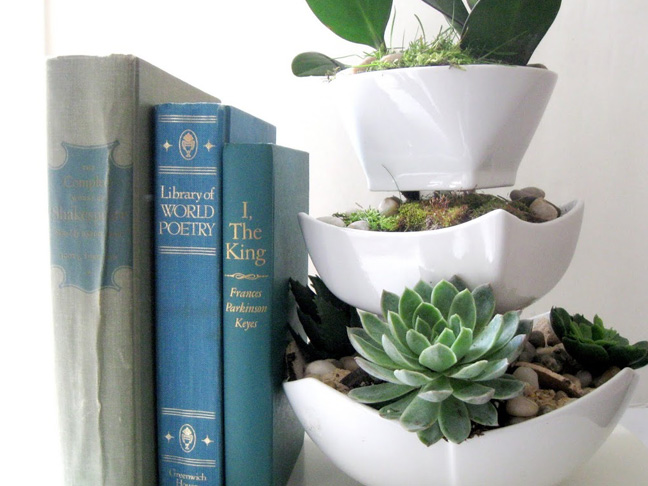 DIY Succulent Planter