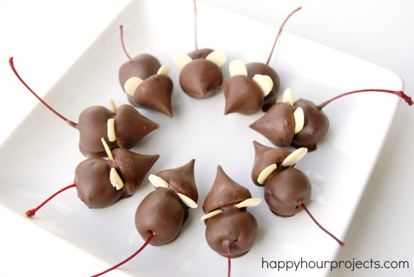 Chocolate Covered Mice