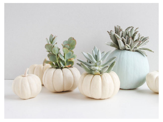 Mini Pumpkin Planters