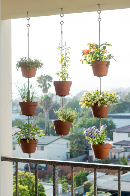 DIY Vertical Garden