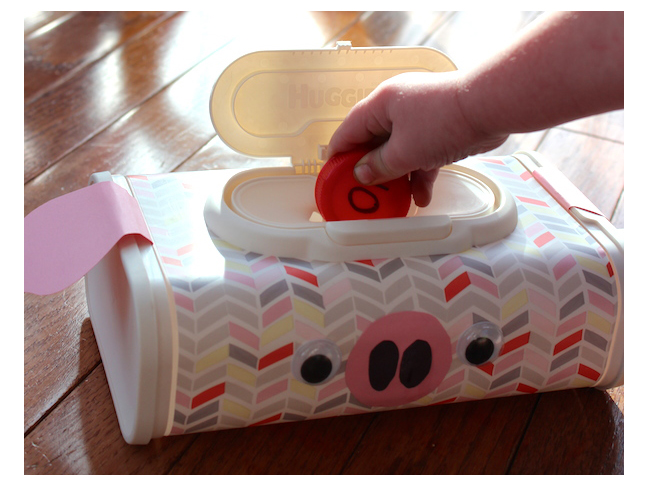 Piggy Wipes Case    