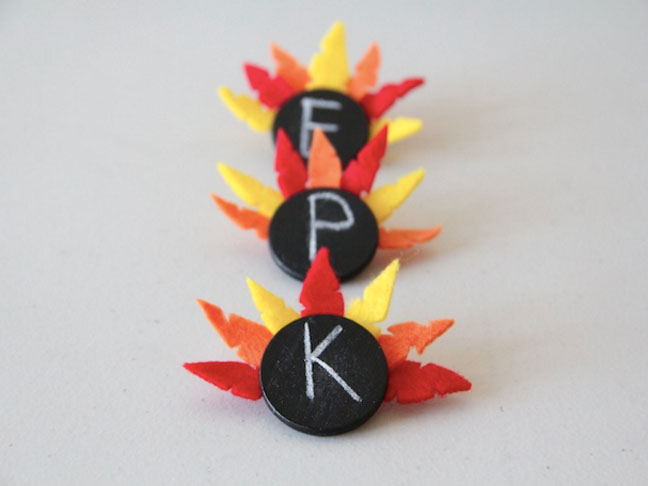 Turkey Pins