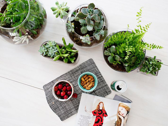 DIY Terrarium Table Runner