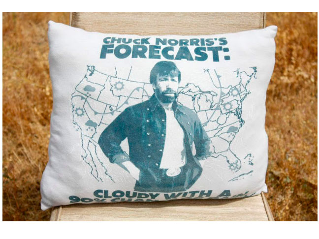 Make a T-Shirt Pillow