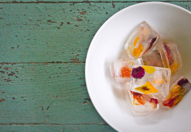 Flower Adorned Ice Cubes