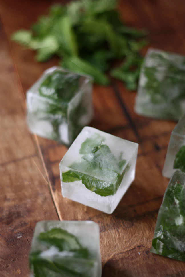 Mint Infused Ice Cubes