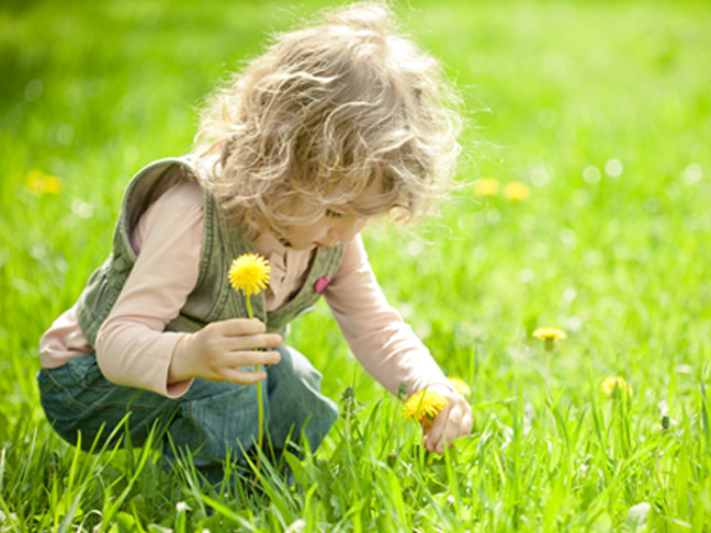 Pick flowers