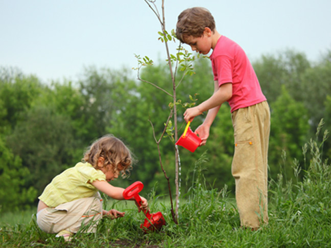 Plant a family tree